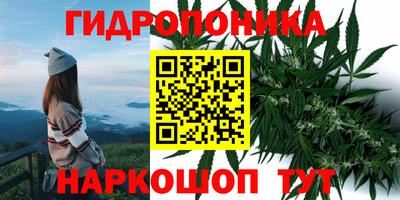 хмурый Боровичи