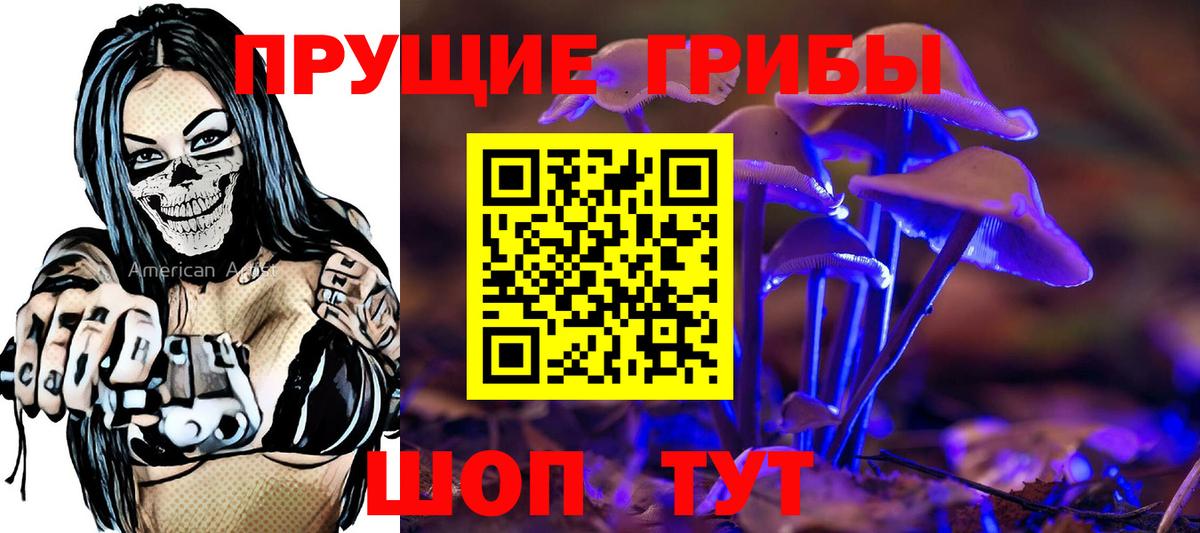 Галлюциногенные грибы Magic Shrooms  Вход с VPN  Северск  Псилоцибиновые грибы прущие грибы 